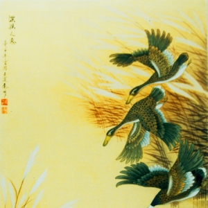 &#21315;&#20159;&#20307;&#32946;&#30331;&#24405;&#32593;&#31449;&#65288;&#20013;&#22269;&#65289;&#38598;&#22242;&#26377;&#38480;&#20844;&#21496;